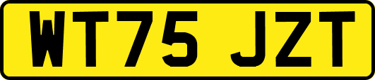 WT75JZT
