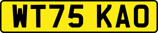 WT75KAO