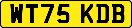 WT75KDB