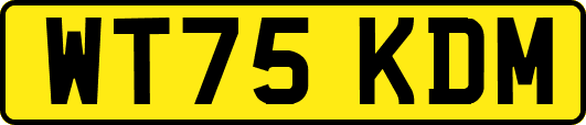 WT75KDM