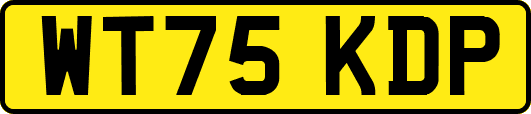 WT75KDP