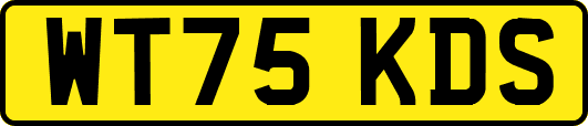 WT75KDS