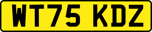 WT75KDZ