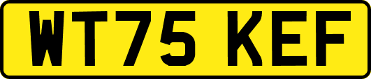 WT75KEF