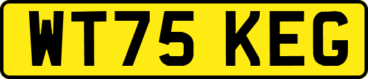 WT75KEG