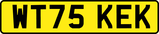 WT75KEK