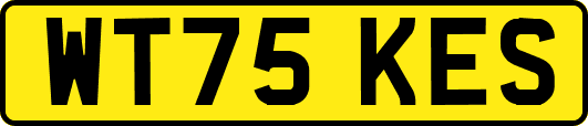 WT75KES