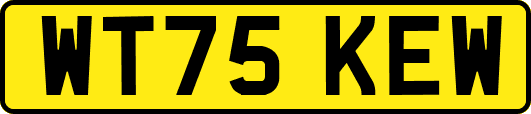 WT75KEW