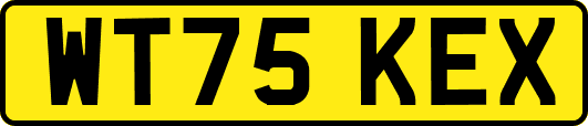 WT75KEX