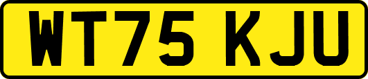 WT75KJU