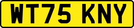 WT75KNY