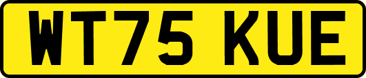 WT75KUE