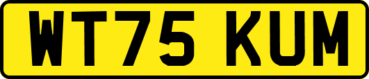 WT75KUM