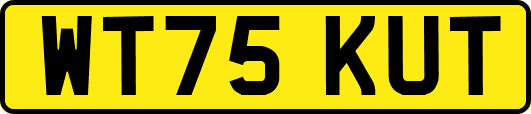 WT75KUT