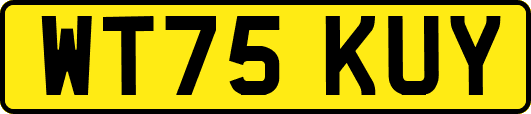 WT75KUY