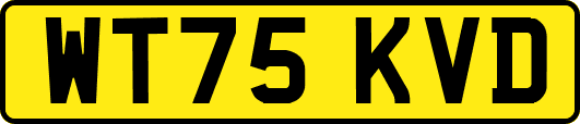 WT75KVD