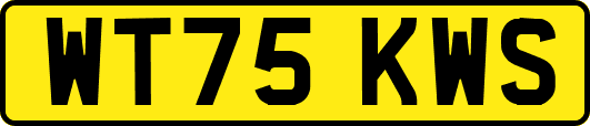 WT75KWS