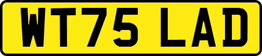 WT75LAD