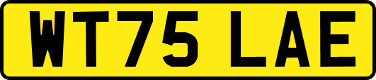 WT75LAE