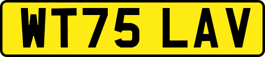 WT75LAV