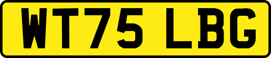 WT75LBG