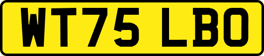WT75LBO