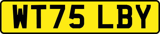 WT75LBY