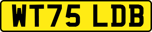 WT75LDB