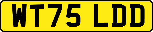 WT75LDD