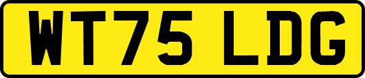 WT75LDG
