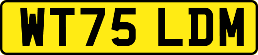 WT75LDM