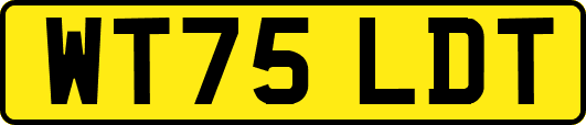 WT75LDT