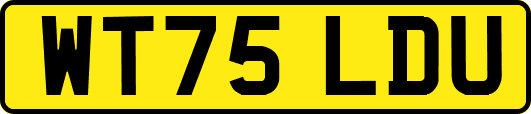 WT75LDU