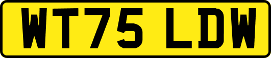 WT75LDW