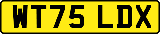 WT75LDX