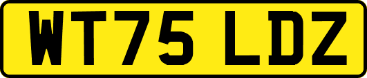WT75LDZ
