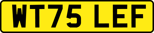 WT75LEF