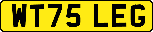 WT75LEG