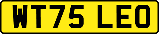 WT75LEO