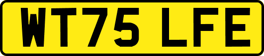 WT75LFE