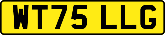 WT75LLG