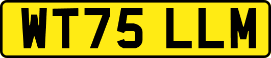 WT75LLM