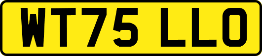 WT75LLO
