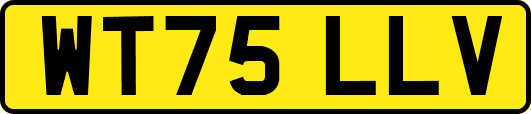 WT75LLV