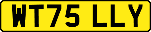 WT75LLY