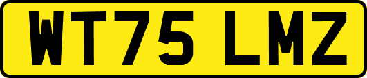 WT75LMZ