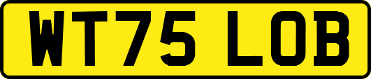 WT75LOB