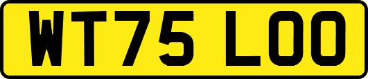 WT75LOO