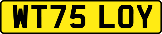 WT75LOY