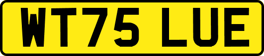 WT75LUE